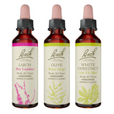 Bach Remedios Florales Originales: aliso, visualización de la confianza para afrontar nuevos retos