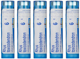 Boiron Rhus Toxicodendron 6C, tubos 80 perlas, formato práctico para molestias leves