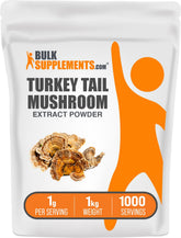 BulkSupplements polvo extracto hongo cola de pavo: suplemento nutritivo para batidos
