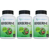 DOCTOR RECOMMENDED SUPPLEMENTS Berberina, botella llena para uso diario