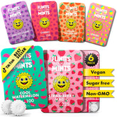Flintts Mints Fruit Troop en empaque compacto, ideal para viaje y refresco inmediato.