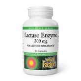 Natural Factors Lactasa Enzyme cápsulas: apoyo a la digestión de la lactosa al consumir lácteos