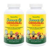 NaturesPlus Source of Life para adultos, frente al envase, apoyo a la energía diaria.