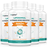 Orgabay NAD+ liposómico botella: protección estomacal y absorción eficiente para energía diaria.
