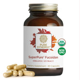 PURE SYNERGY fucoidan cápsulas en botella para uso diario.