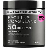 Toniiq Bacillus Coagulans, cápsulas, 50B CFU para soporte intestinal.