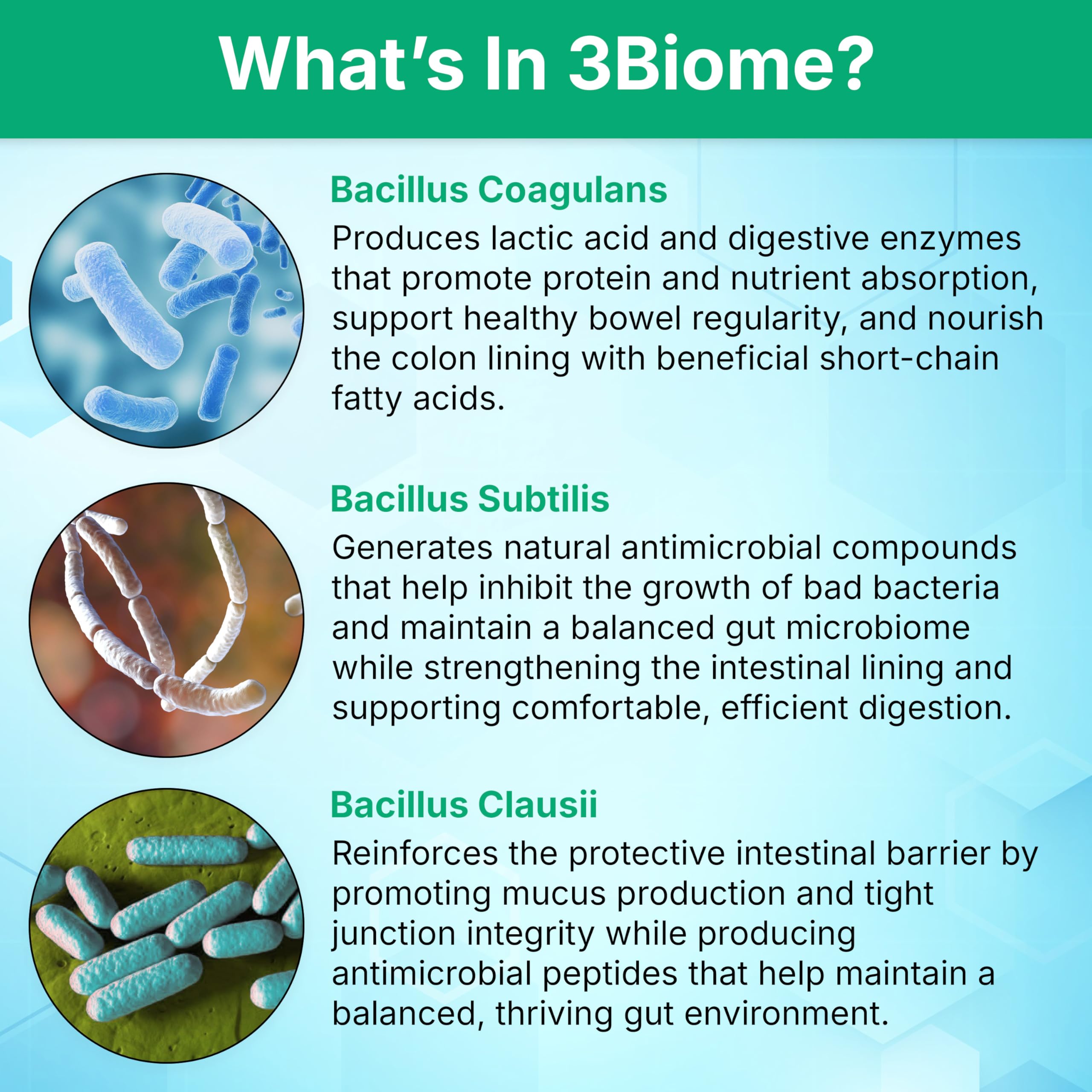 3Biome Probiotico: cápsulas en plato muestran textura suave para uso diario
