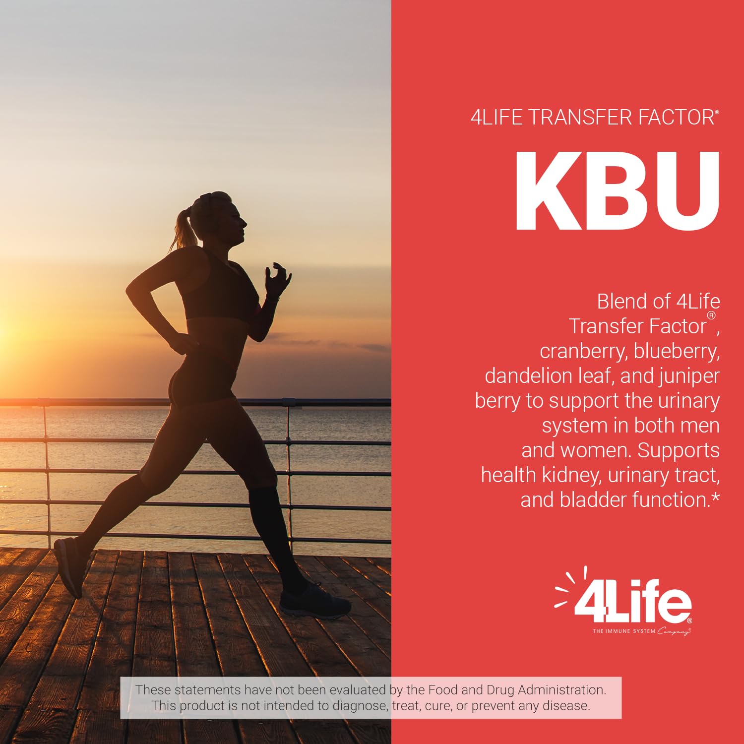 4Life KBU: apoyo a la función renal y equilibrio de fluidos.