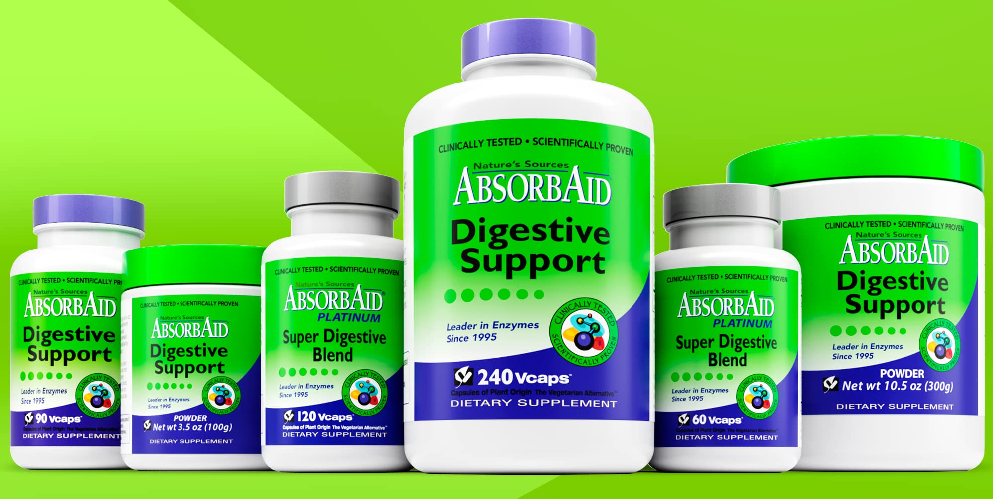 AbsorbAid: ilustracion de enzimas que destacan su papel en la digestion.