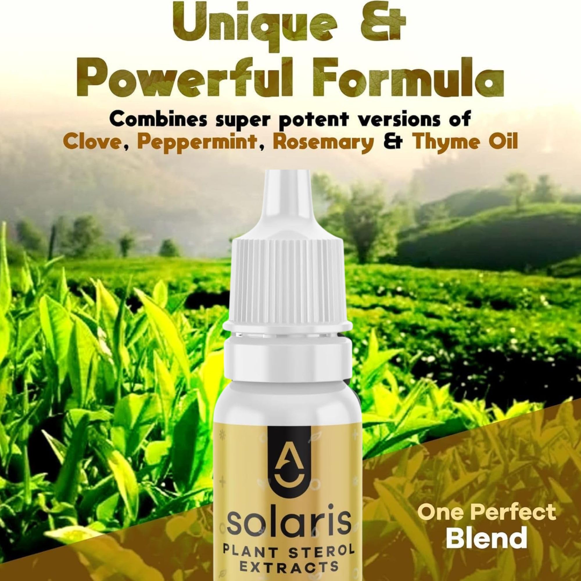 ACTIVATION Solaris frasco de 10 ml con clavo, notas cálidas para ambientes aromáticos.