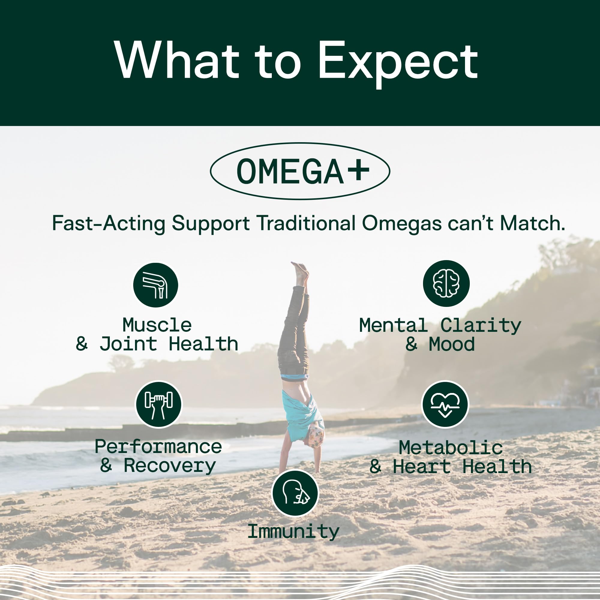 Adapt Naturals Omega 3: curcumina biodisponible para apoyo diario.