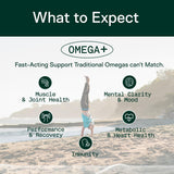 Adapt Naturals Omega 3: curcumina biodisponible para apoyo diario.