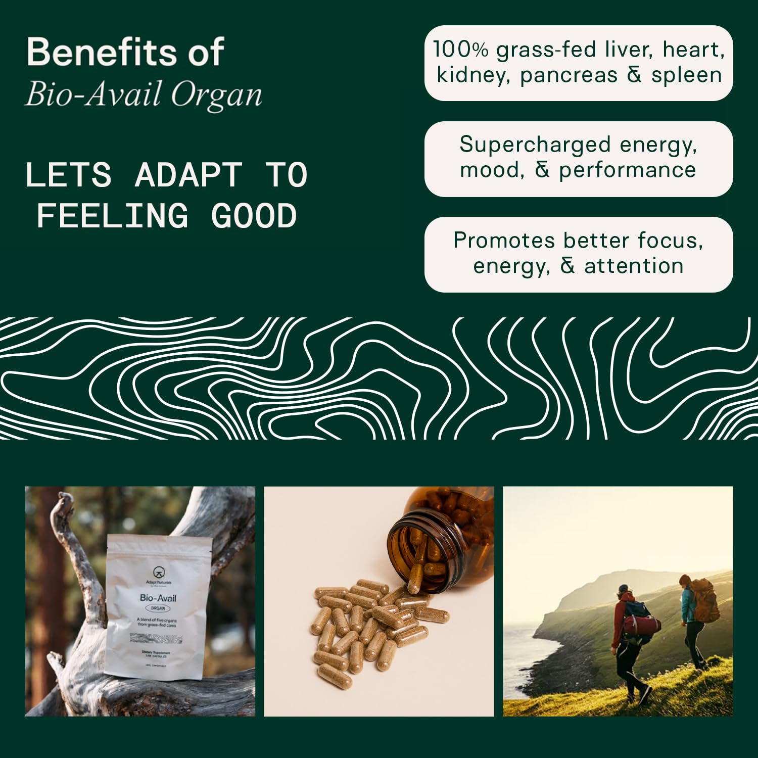 Adapt Naturals: etiqueta del producto destaca la mezcla de órganos y CoQ10 para nutrición equilibrada.