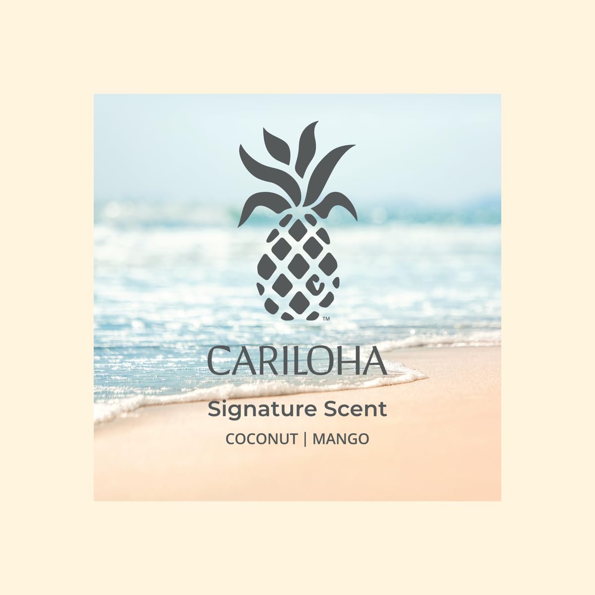 Difusor AERA Cariloha con fragancia Mango Coco, ideal para crear atmósfera caribeña en casa.