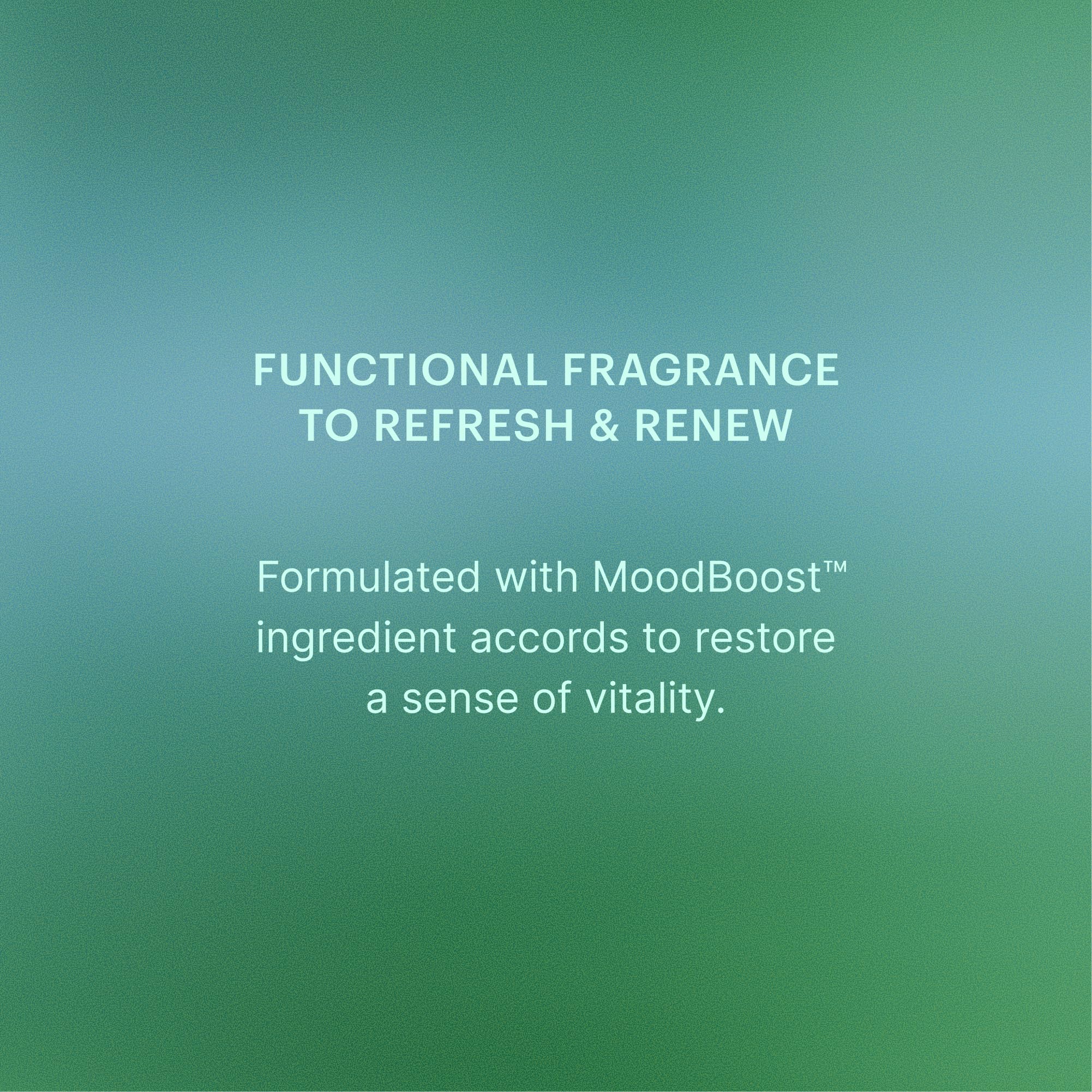 AERA Emerald Spring aromas-romero con notas relajantes para ambiente tranquilo.