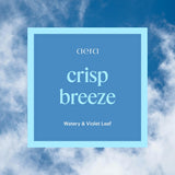 Aera Go Crisp Breeze notas acuosas y hoja de violeta para coche