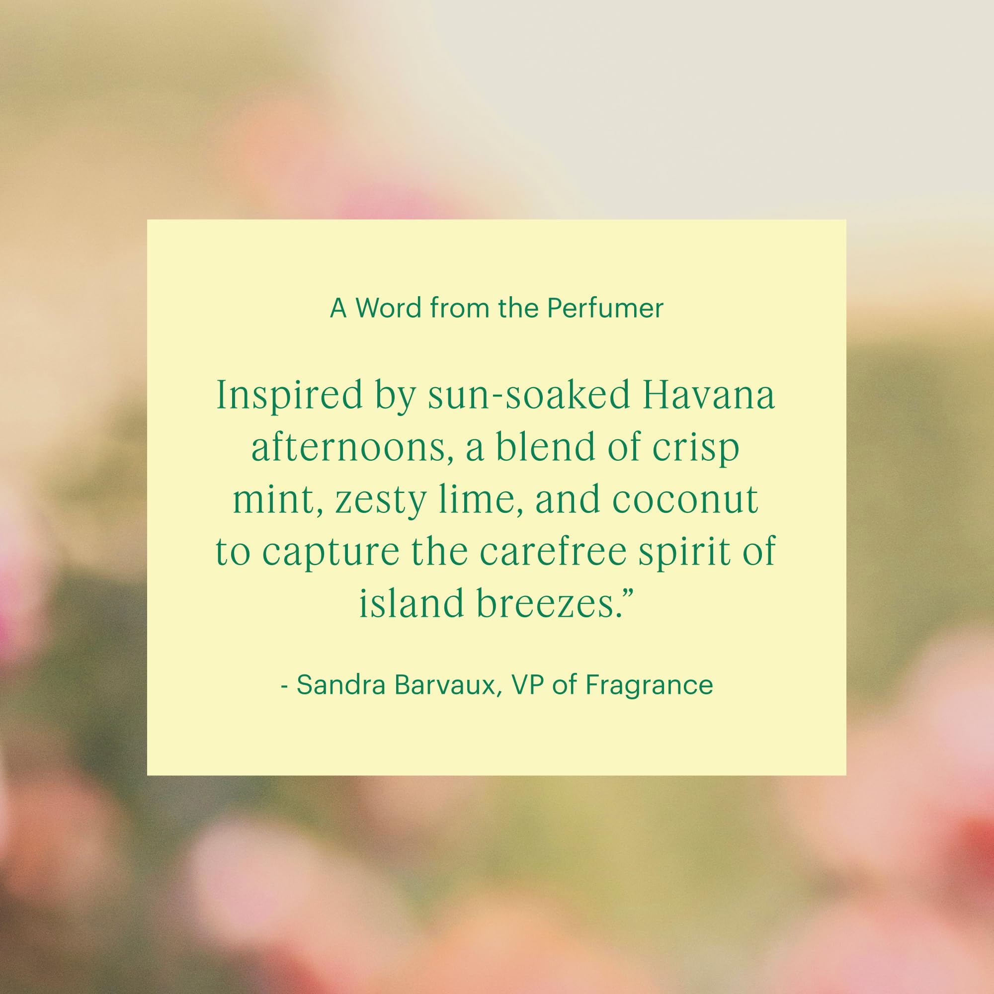 AERA Havana Breeze notas de lima y menta para un ambiente veraniego