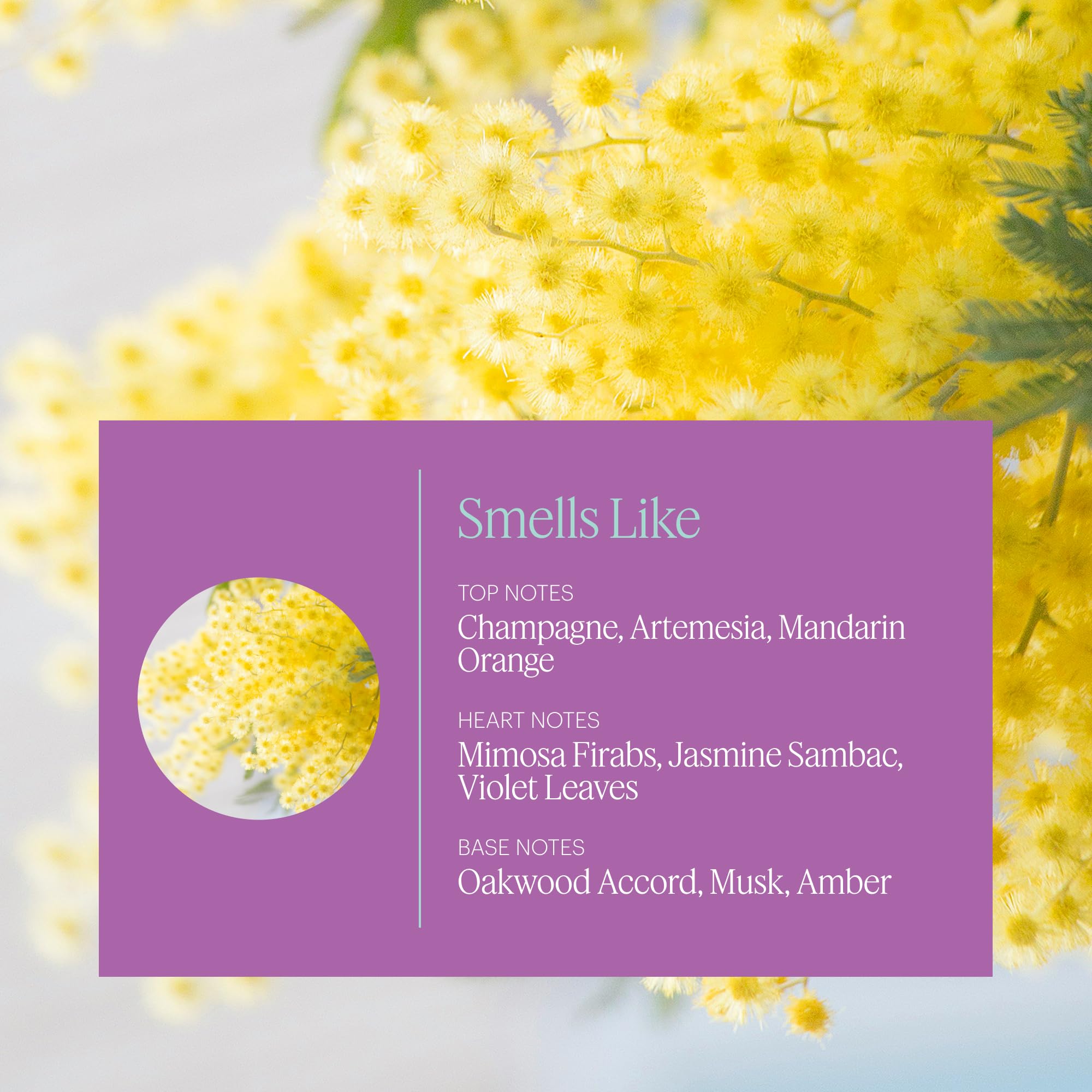 Notas de champagne y macarons con AERA: perfuma ambientes con lujo sutil.