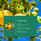Aera Mini-difusor mini, difunde aromas de forma continua para un ambiente relajante