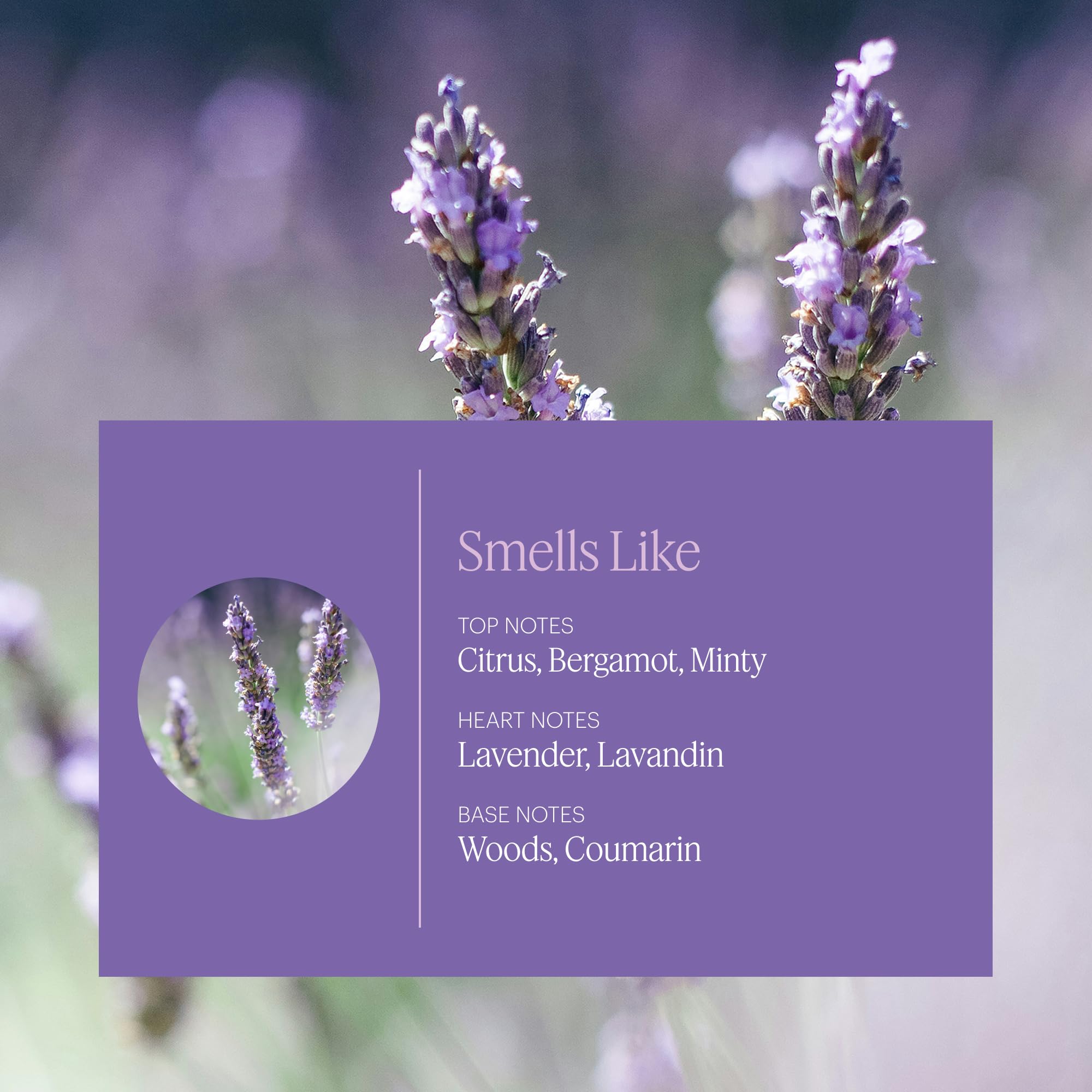 AERA Mini Lavanda frasco: aroma floral suave para momentos de relajación