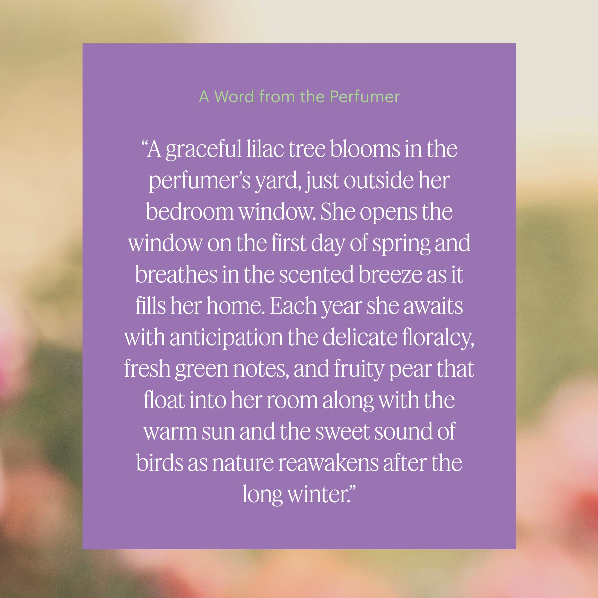 AERA Mini Lilac Daydream flores-de-lila inspiran un ambiente calmante.