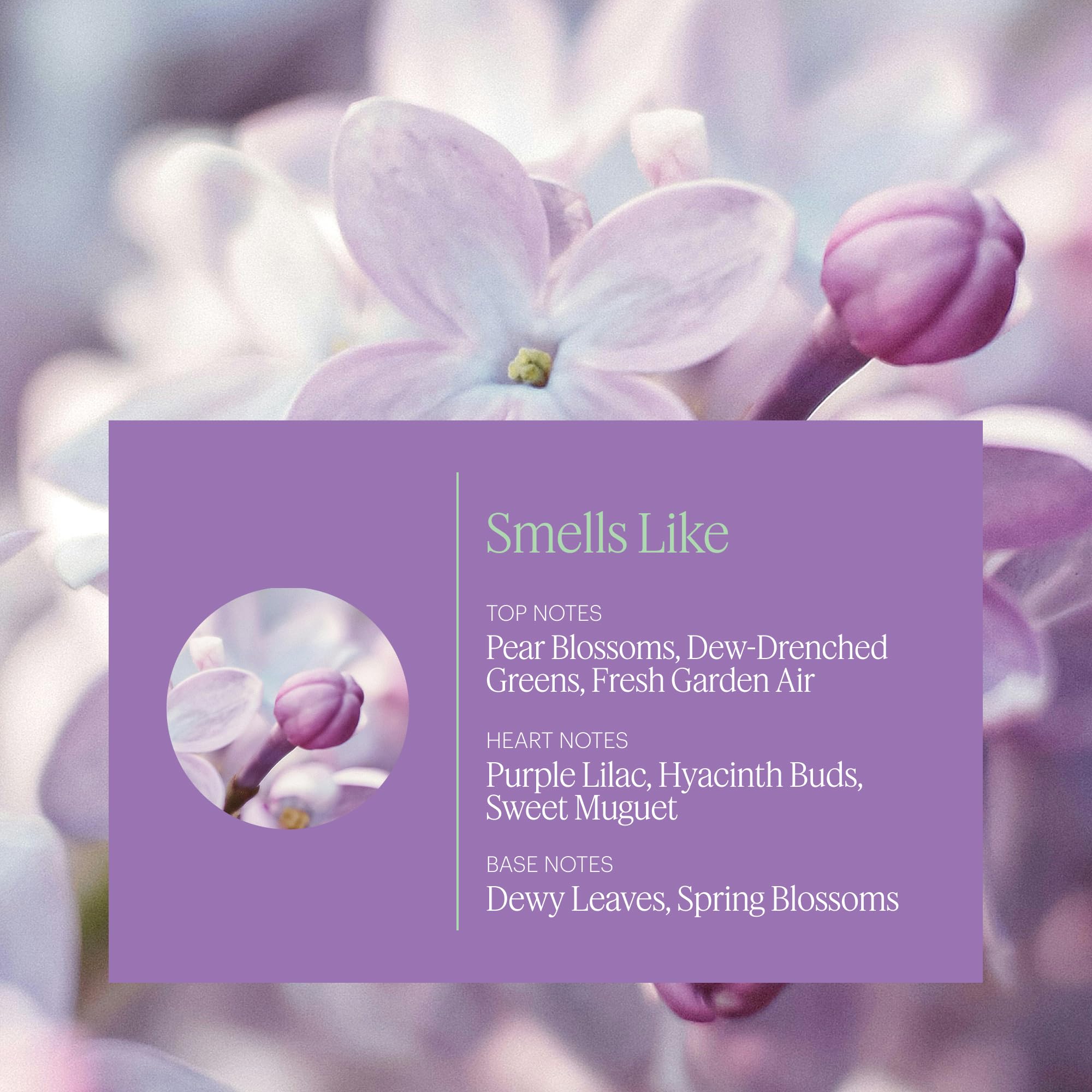 AERA Mini Lilac Daydream gotas de fragancia para difusor mini, aroma floral.