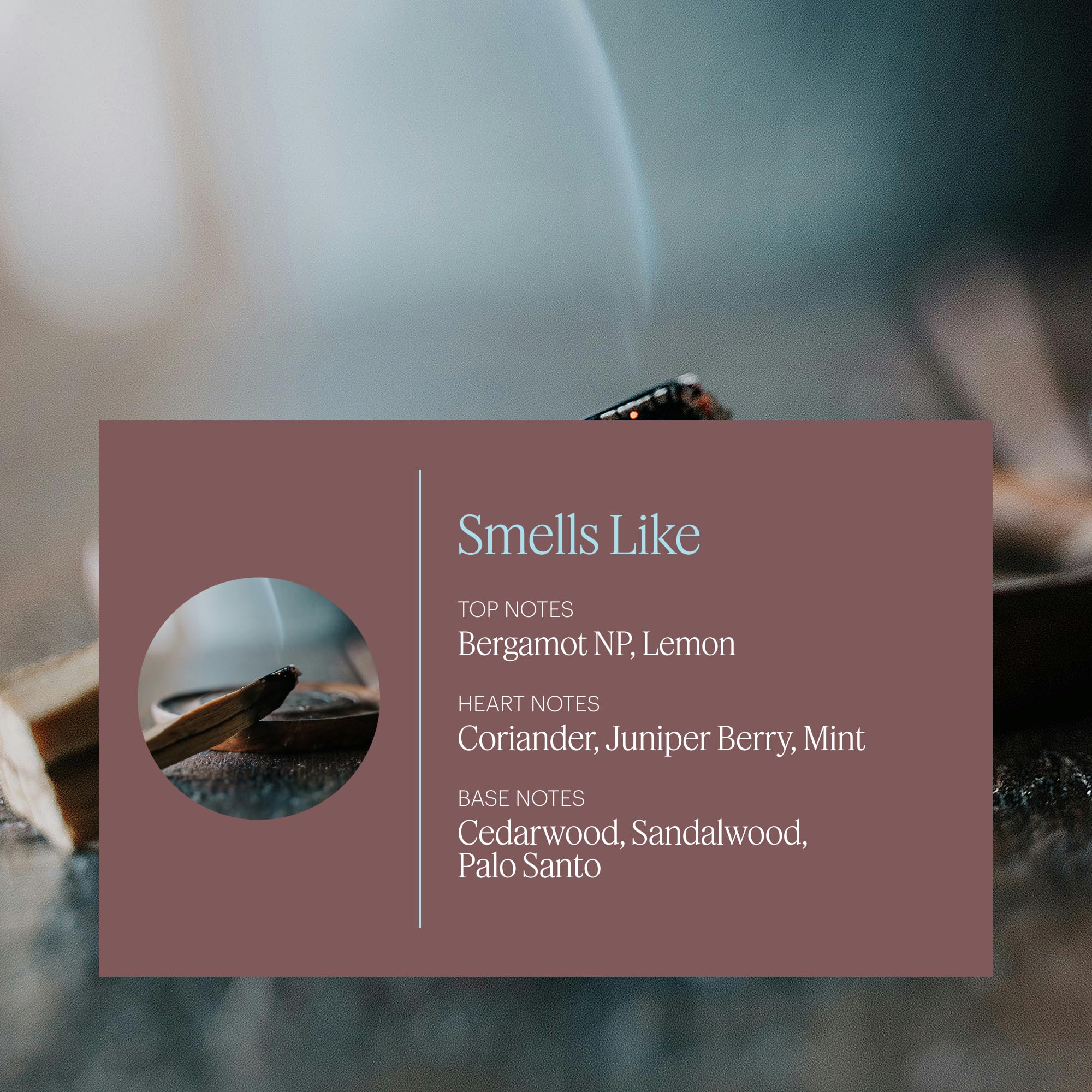 AERA Mini Palo Santo: difusor-mini para aroma duradero y calmante.