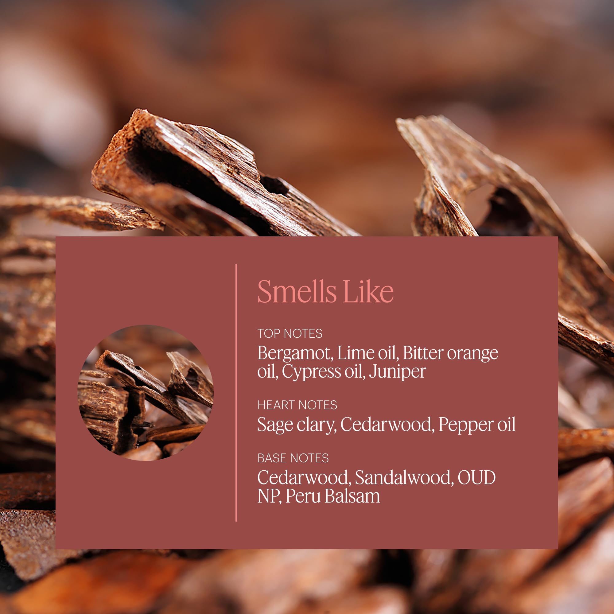 Aera Mini Sandalwood difusor mini activo crea atmósfera relajante