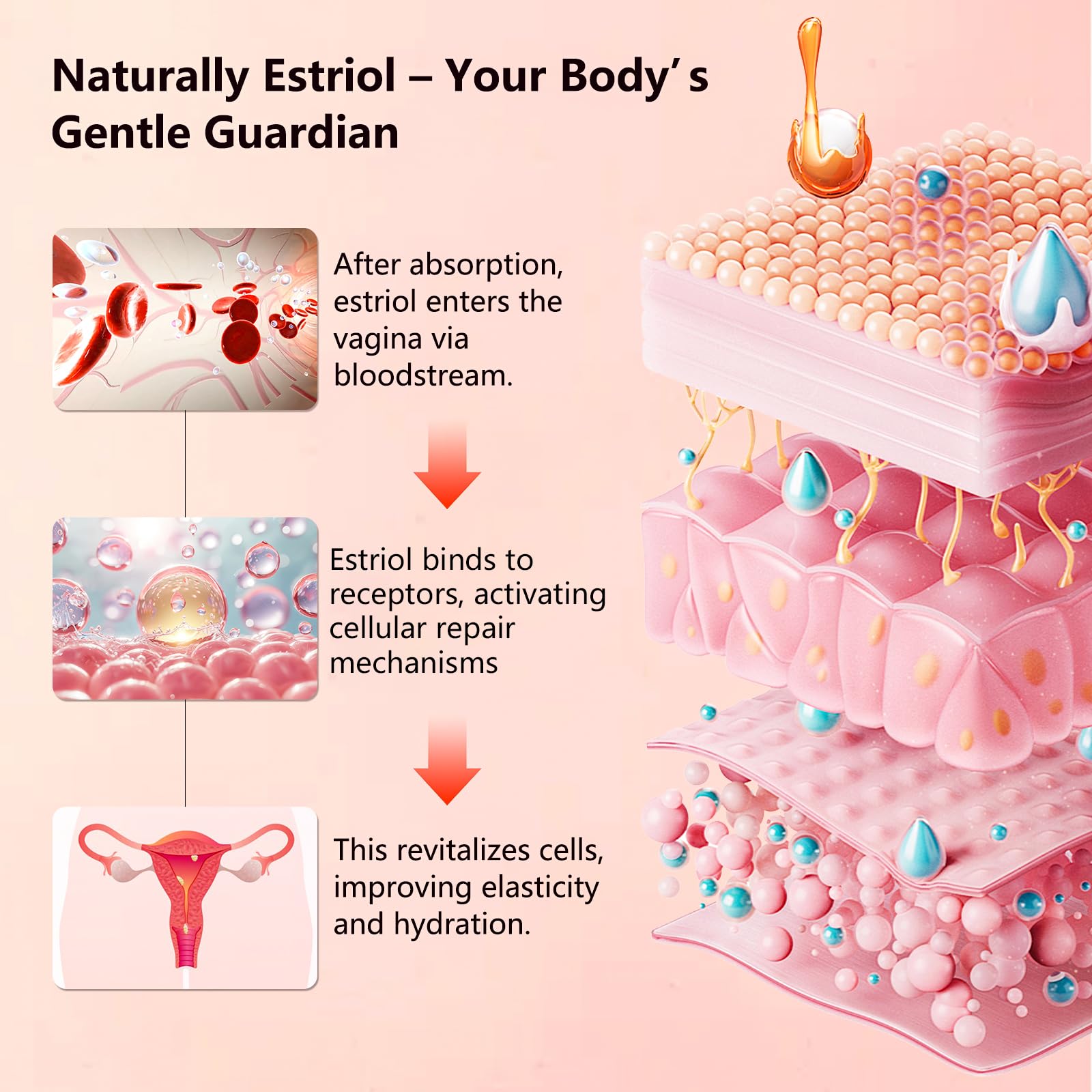 Aeryea crema estriol natural, aplicación en zona vulvar para alivio cómodo