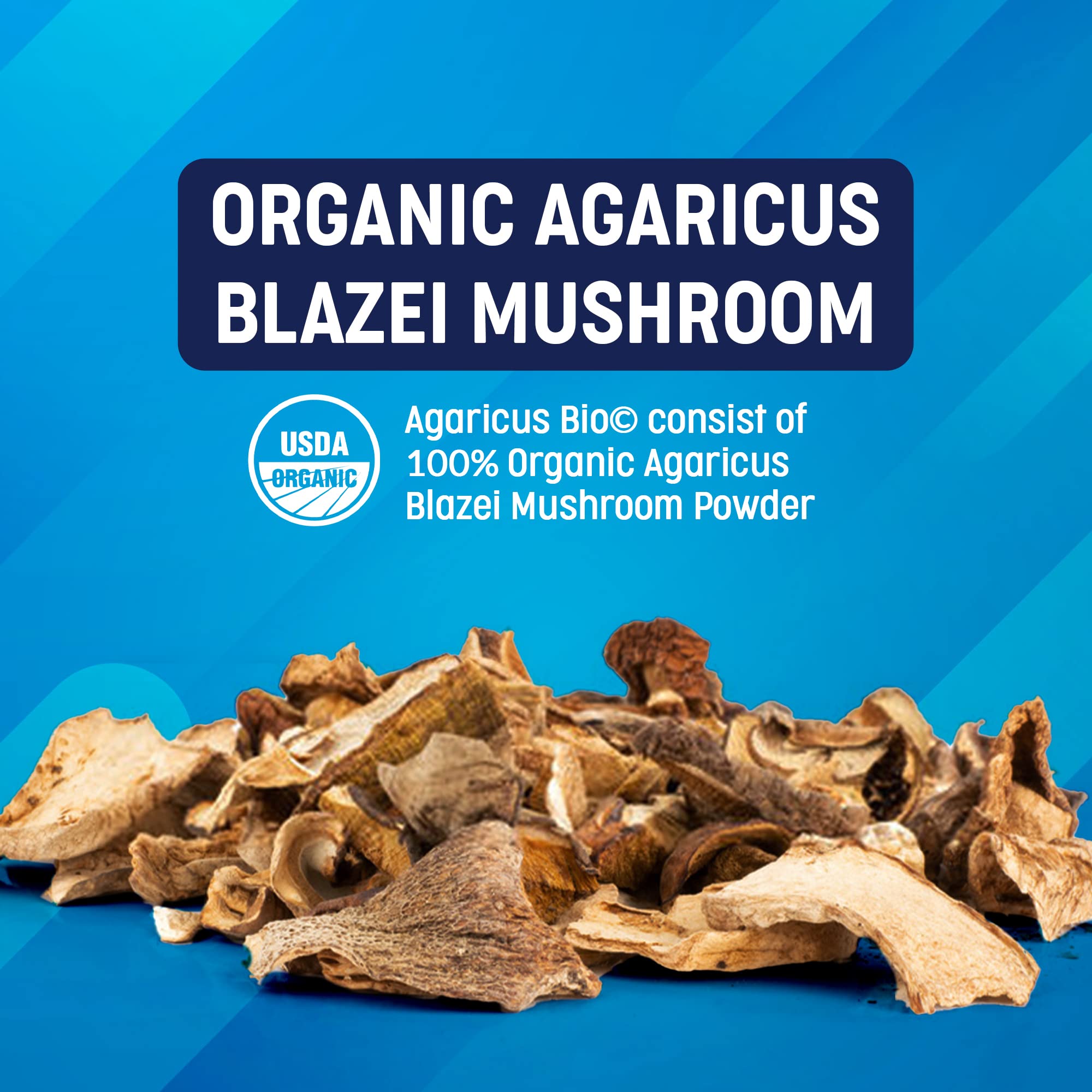 Agaricus Bio 600 mg: ingredientes naturales y beta glucanos