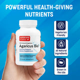 Primer plano del hongo Agaricus Blazei Murill para claridad del producto