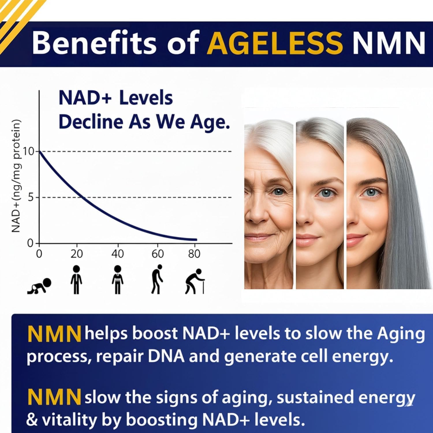Ageless NMN 500 mg cápsulas en mano para uso diario.
