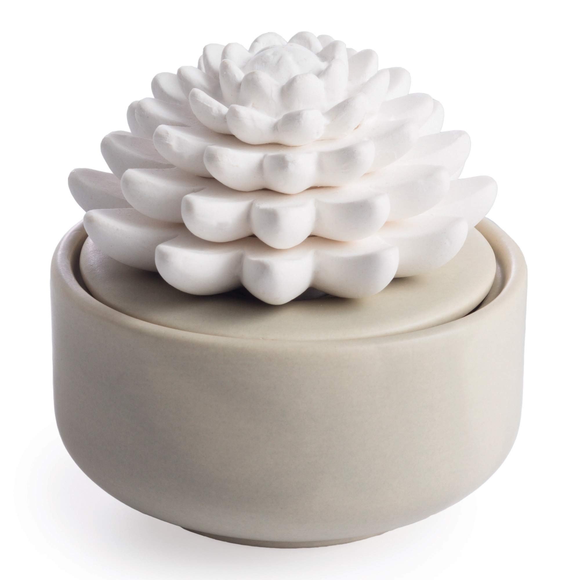 Airomé difusor de porcelana blanco con suculenta, ideal para aromaterapia en casa