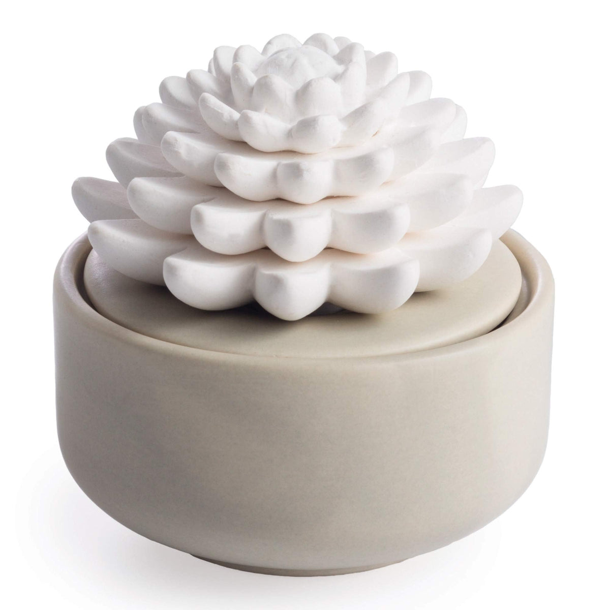 Airomé difusor de porcelana blanco con suculenta, ideal para aromaterapia en casa