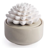Airomé difusor de porcelana blanco con suculenta, ideal para aromaterapia en casa