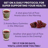 Gomitas Akronia Valley Aronia, información nutricional clara, guía de uso para un estilo de vida saludable.