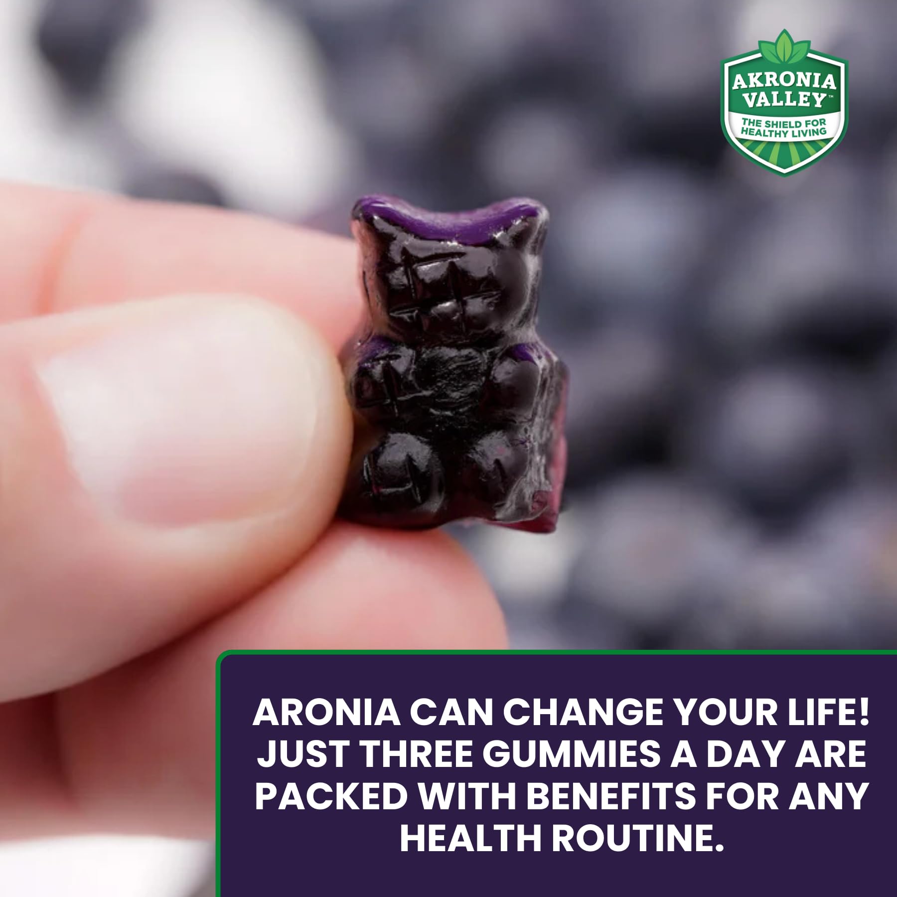 Gomitas Akronia Valley Aronia, ingrediente clave resaltado, antioxidantes naturales para el bienestar.