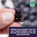 Gomitas Akronia Valley Aronia, ingrediente clave resaltado, antioxidantes naturales para el bienestar.