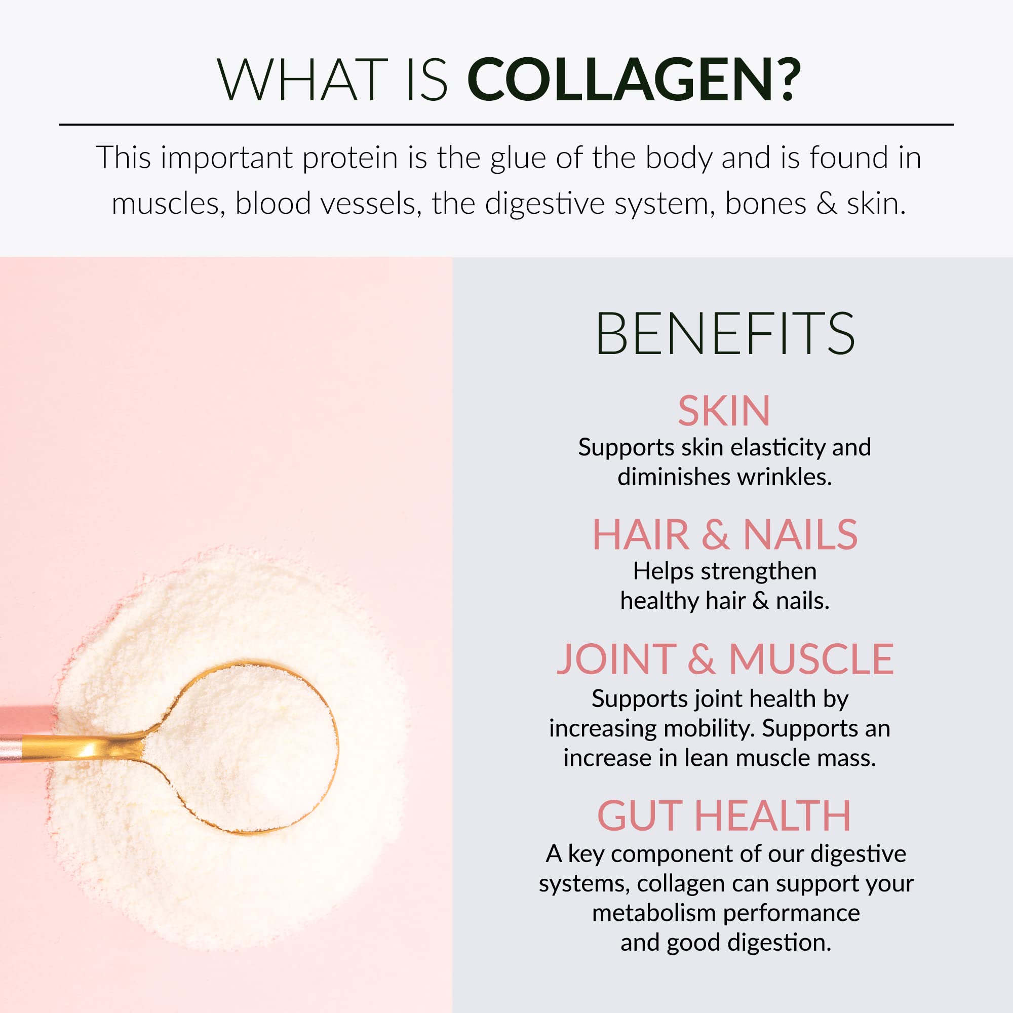 Alaya Naturals colágeno en yogur para snack enriquecido.