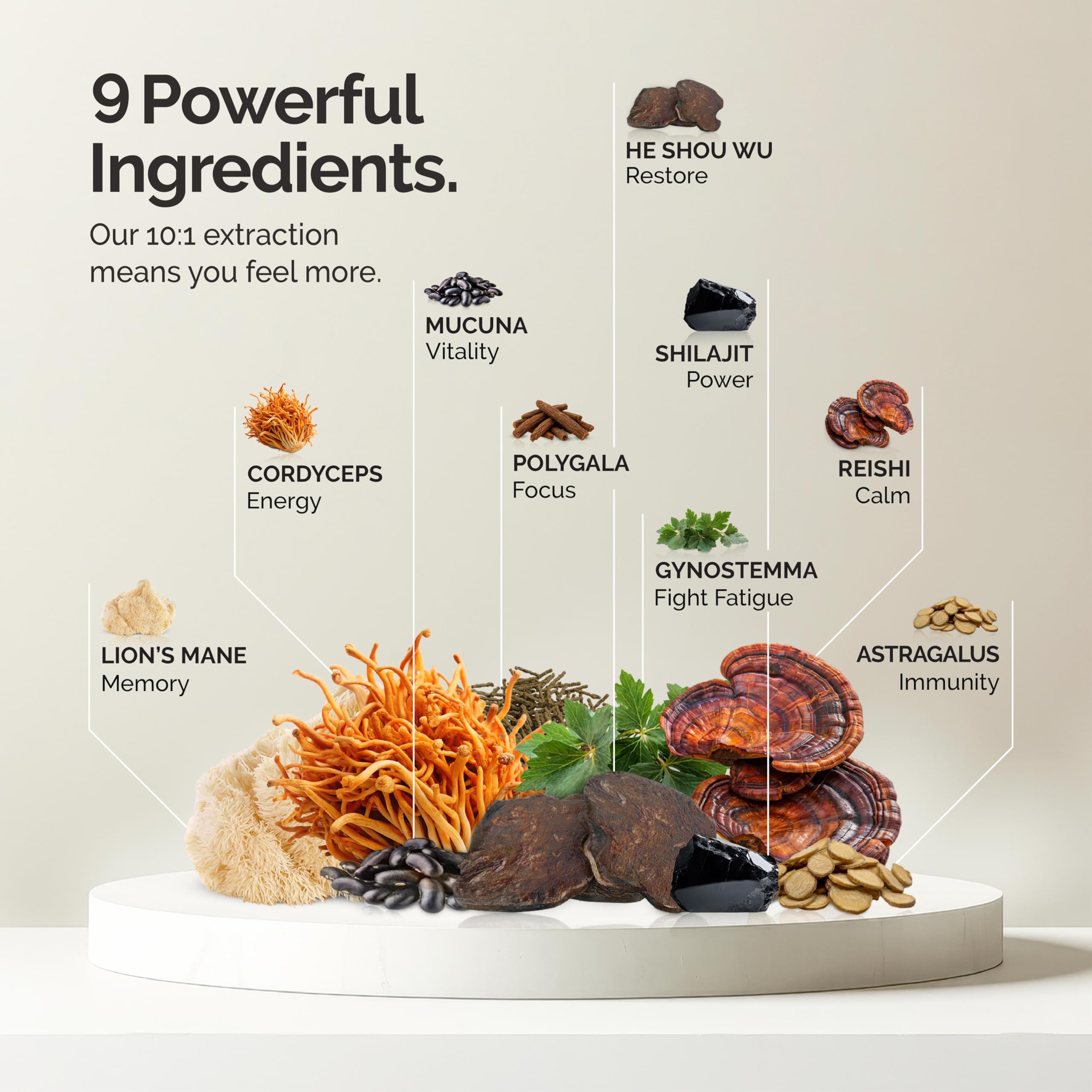alcami elements ingredientes clave hongo melena de leon, reishi y cordyceps.