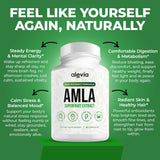 Alevia Amla fruto indio: rico en antioxidantes para la vitalidad diaria.
