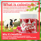 Allcoovita Colostrum Chews frambuesa en caja, sabor agradable para un snack saludable.