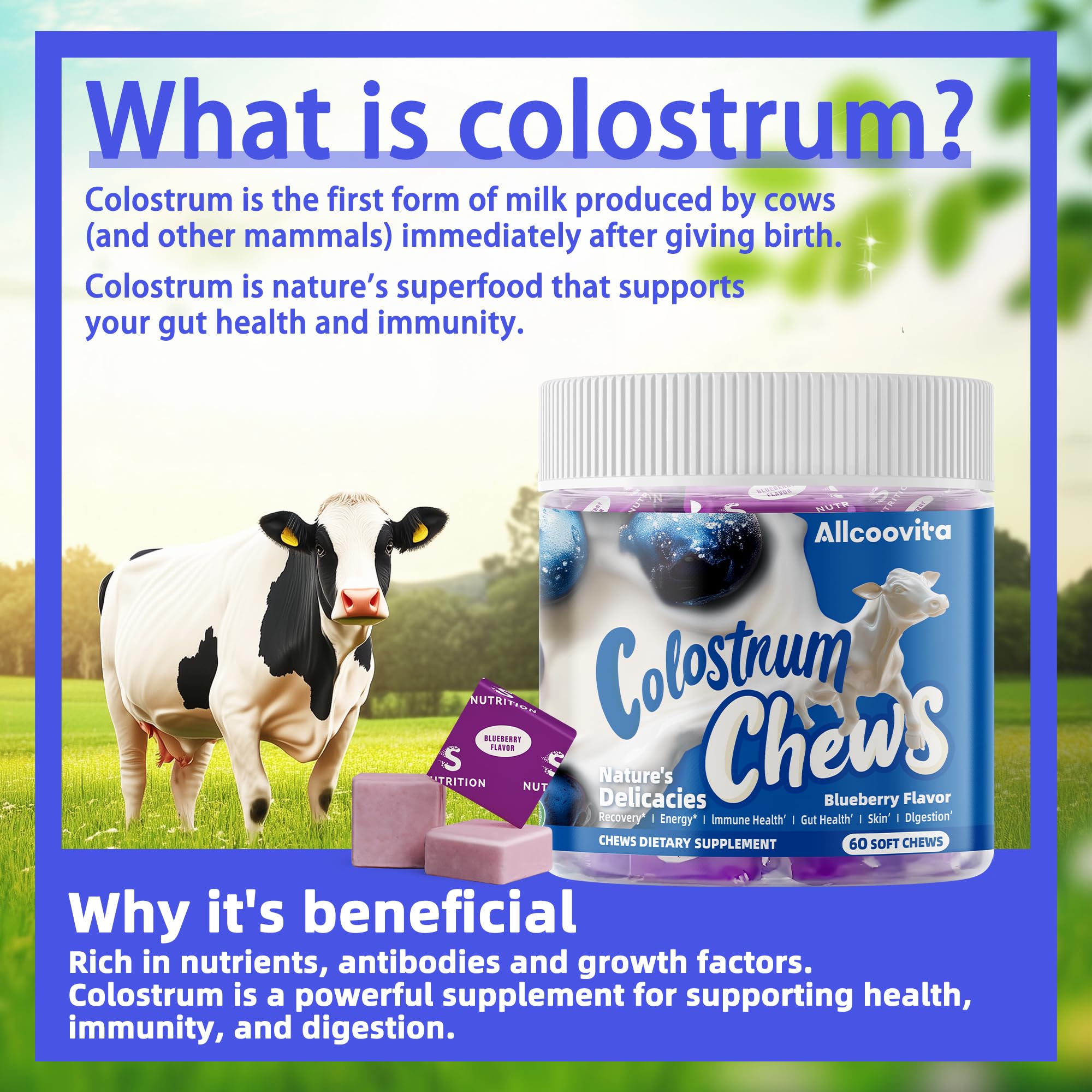 Textura gomosa de Allcoovita Colostrum Chews, snack agradable.