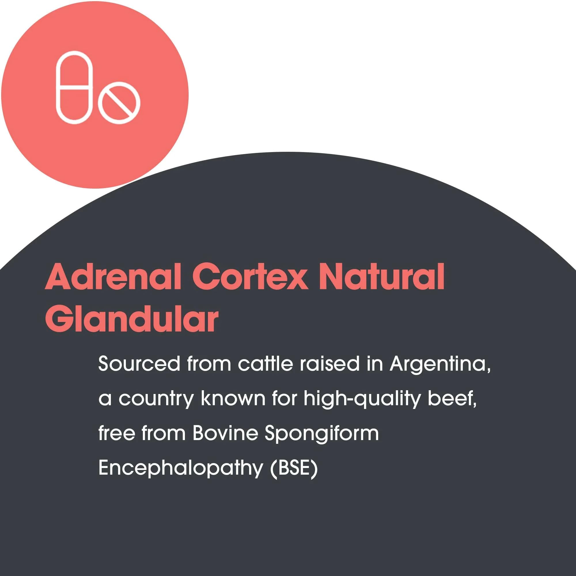 Detalle de panel de ingredientes, corteza adrenal bovina liofilizada.