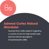 Detalle de panel de ingredientes, corteza adrenal bovina liofilizada.