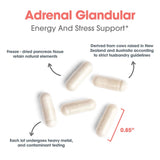 Allergy Research Group ARG Adrenal Cortex origen en pasturas argentinas para materia prima