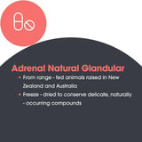 Allergy Research Group ARG Adrenal Cortex proceso liofilizado para mayor estabilidad