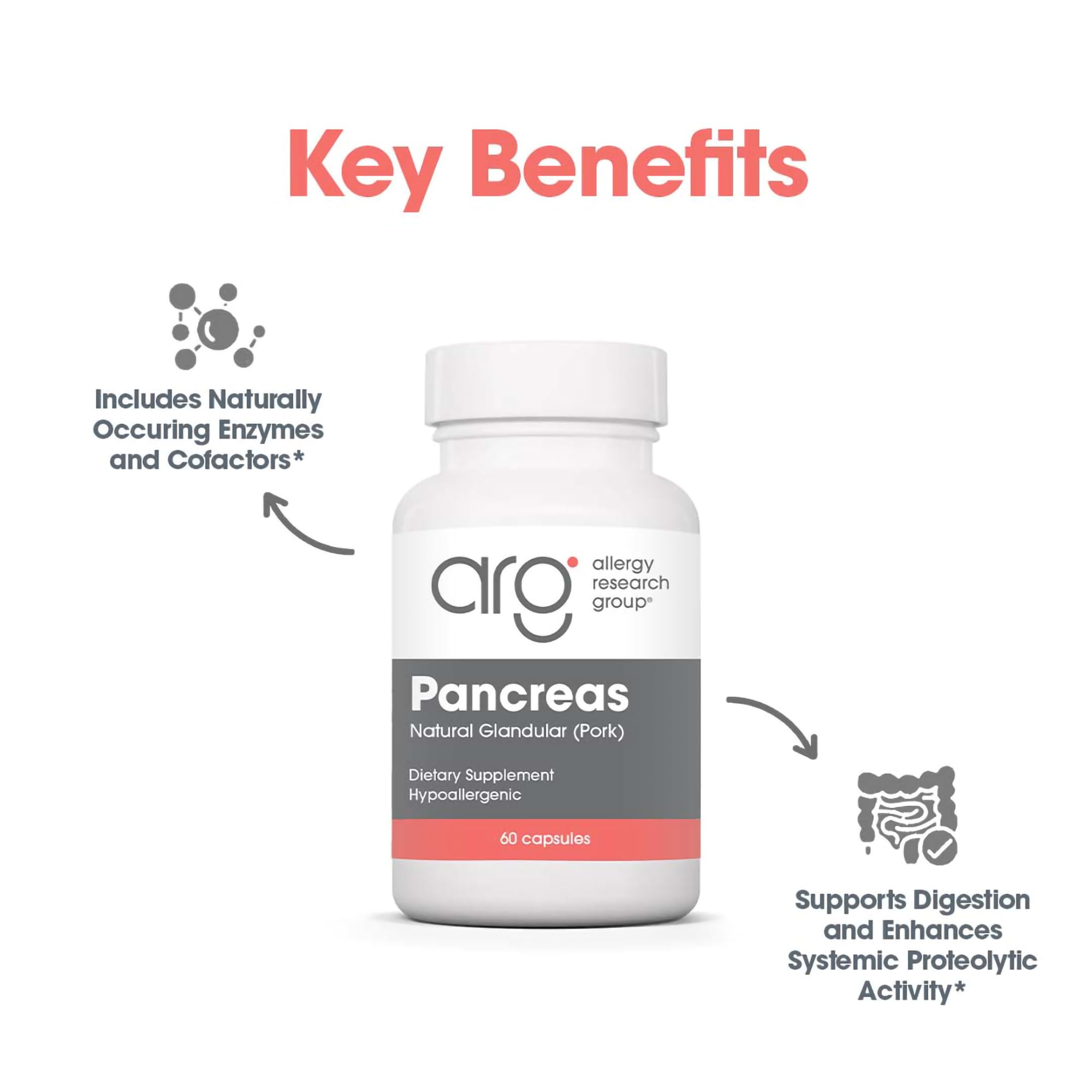 Allergy Research Group ARG Pancreas Natural Glandular, etiqueta de ingredientes, detalle enzimático.
