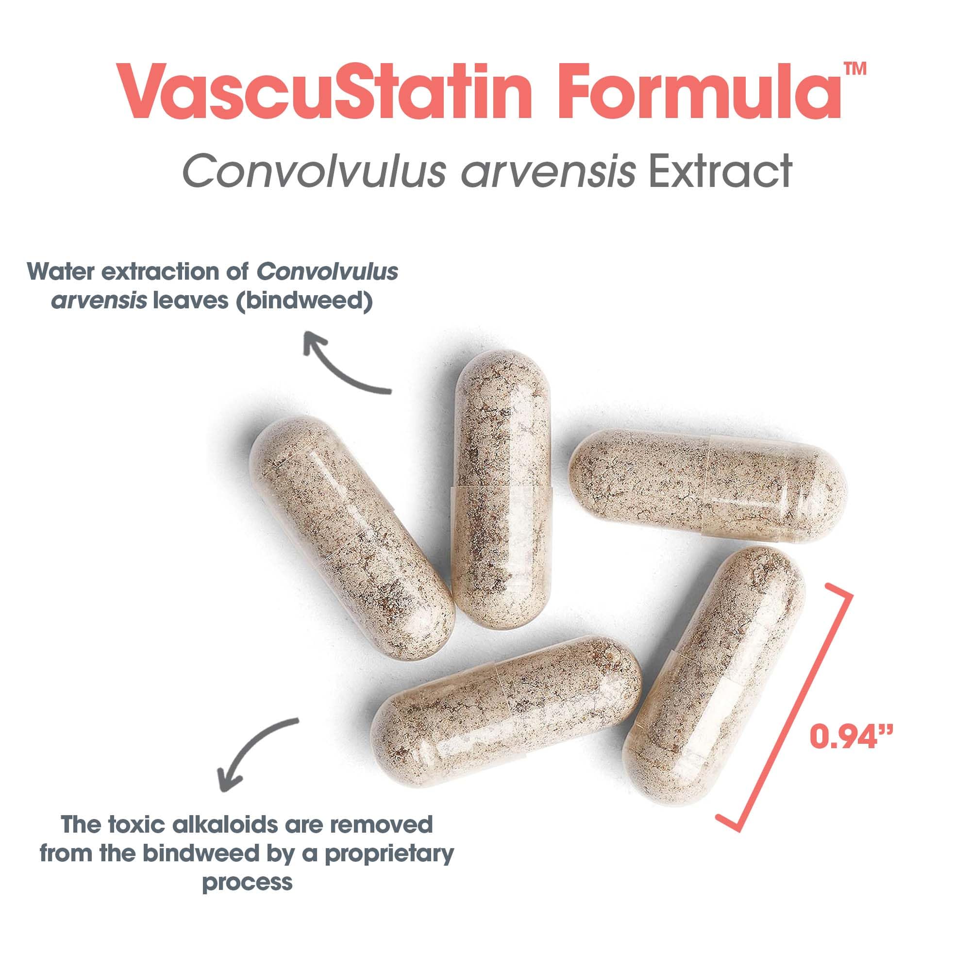 ARG VascuStatin Formula, proteoglicanos para entornos de tejido saludables