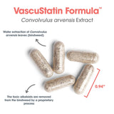 ARG VascuStatin Formula, proteoglicanos para entornos de tejido saludables